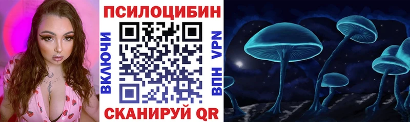 omg как войти  Чистополь  Псилоцибиновые грибы MAGIC MUSHROOMS 