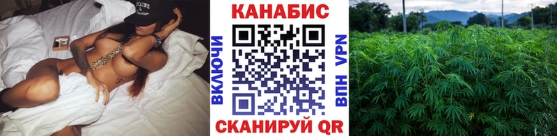 Бошки марихуана марихуана  Чистополь 
